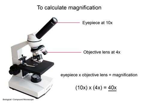 define magnification in microscope